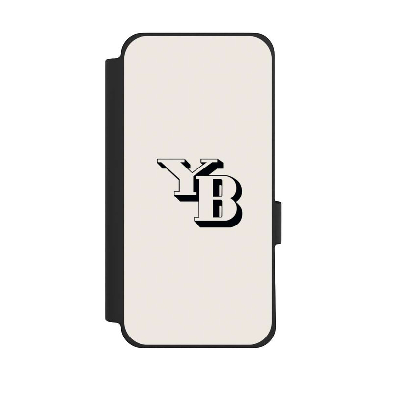 Pixel 10 Pro XL NIVOflip BSC YB gris clair