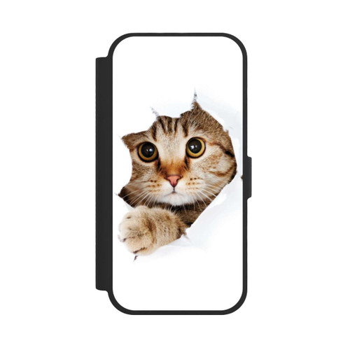  NIVOflip A little explorer