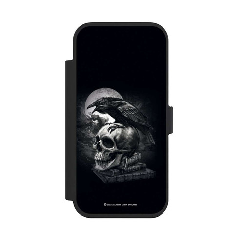 Apple iPhone Air NIVOflip Poe's Raven