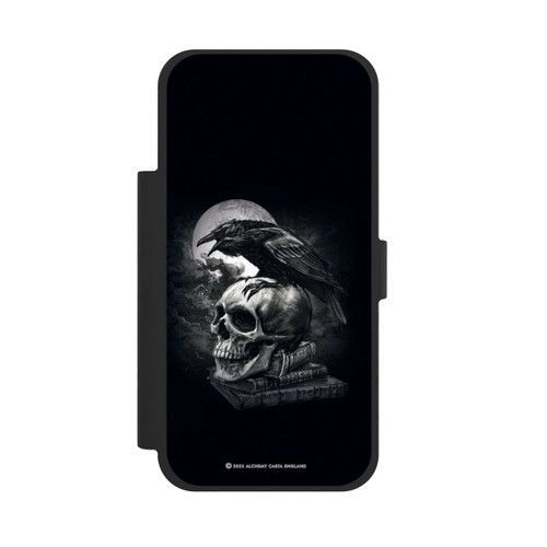 Apple iPhone 17 Pro Max NIVOflip Poe's Raven