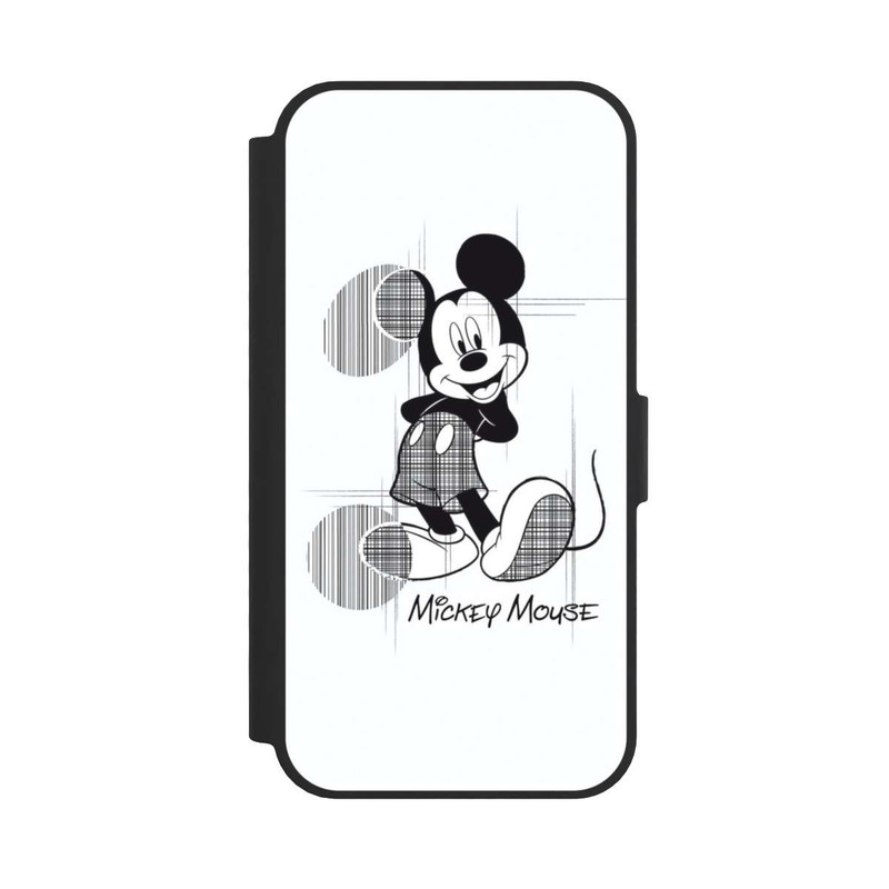 17 e NIVOflip Micky Sketchy