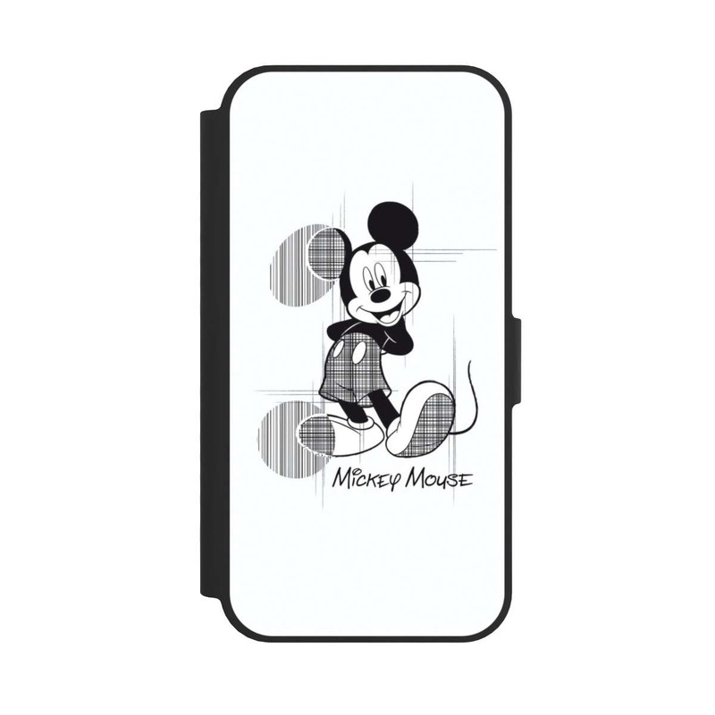17 e NIVOflip Micky Sketchy