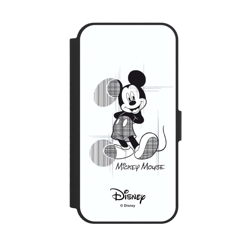 17 e NIVOflip Micky Sketchy