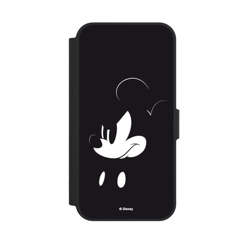 17 e NIVOflip Mickey faché