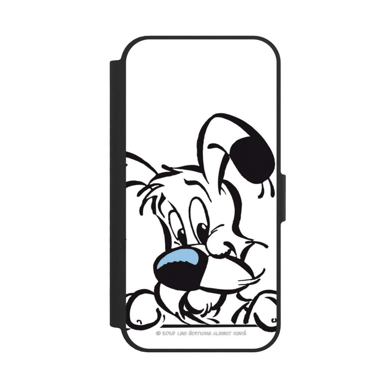 17 e NIVOflip Idéfix
