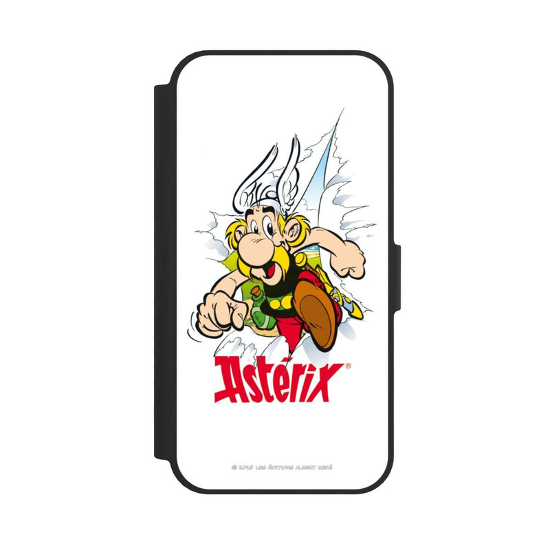 17 e NIVOflip Astérix Logo