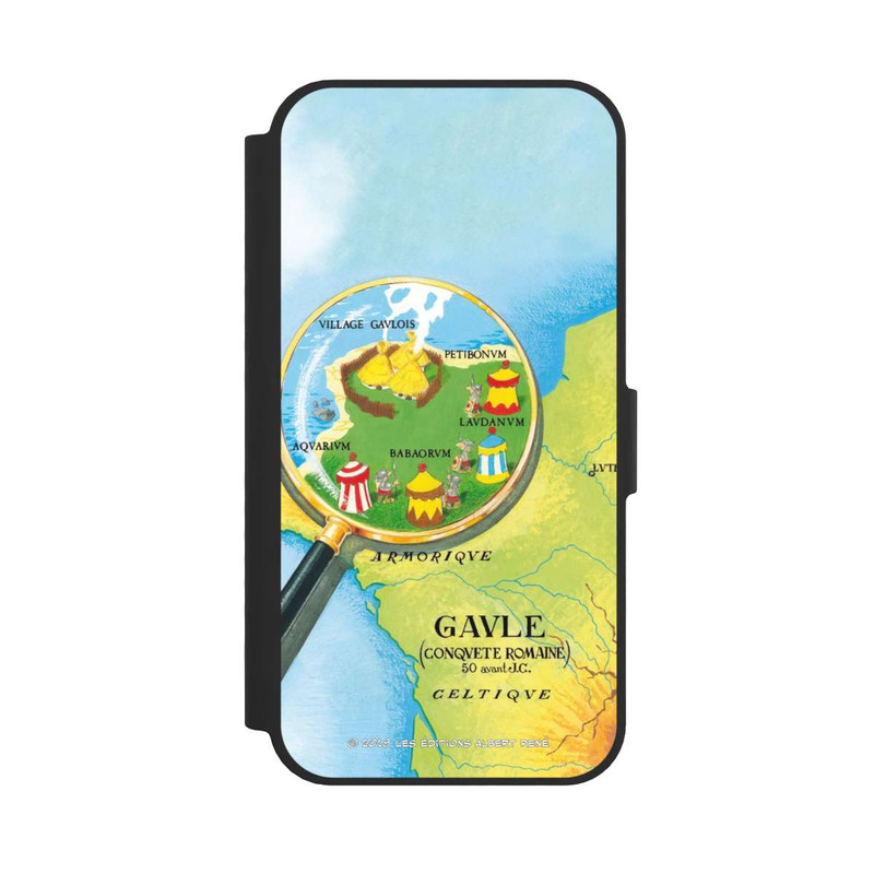 17 e NIVOflip Gaule Carte