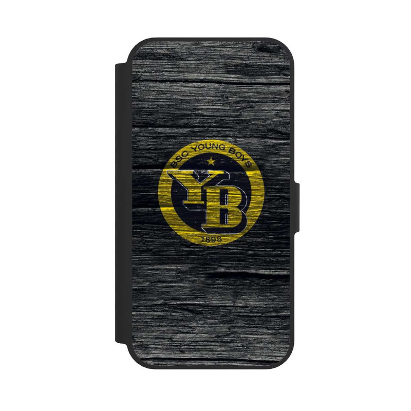 17 e NIVOflip BSC YB Aspect bois