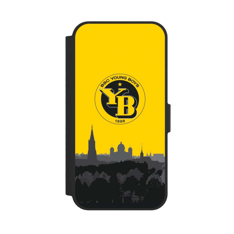 17 e NIVOflip BSC YB Skyline
