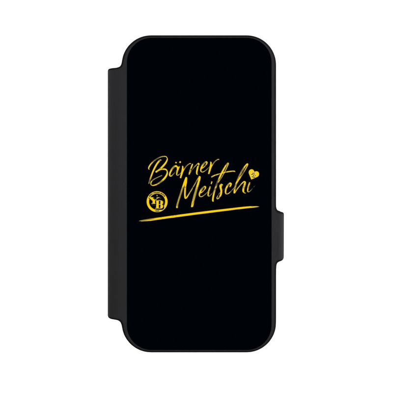 Pixel 11 NIVOflip BSC YB Bärner Meitschi