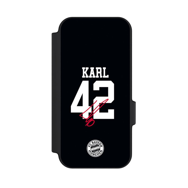 Pixel 11 NIVOflip Karl 42