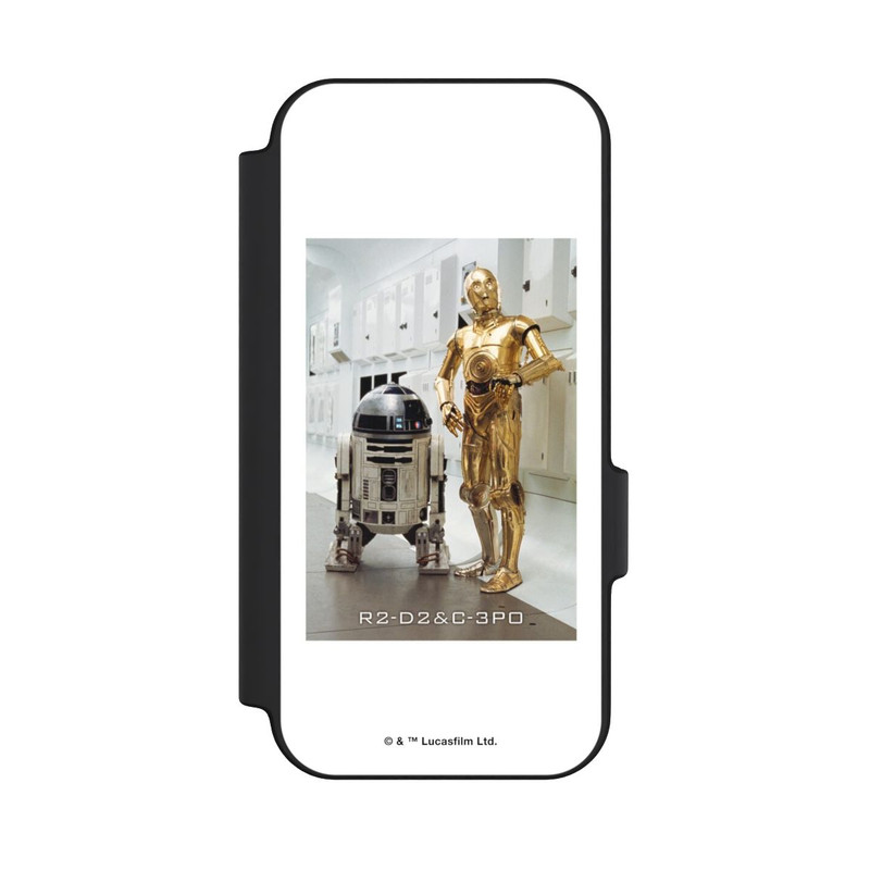 Pixel 11 Pro NIVOflip R2D2 et C3PO en images
