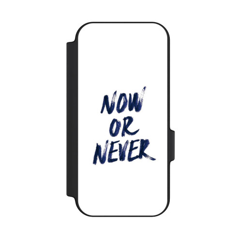 Google Pixel 11 Pro NIVOflip Now or Never
