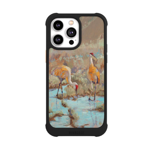 Apple iPhone 14 Pro Max NIVOmax The Courtship by Roberta Murray
