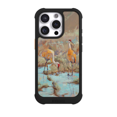 Apple iPhone 16 Pro NIVOmax The Courtship by Roberta Murray