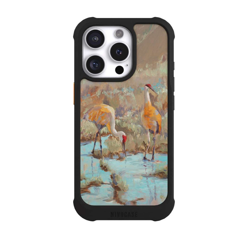 iPhone 16 Pro NIVOmax The Courtship by Roberta Murray