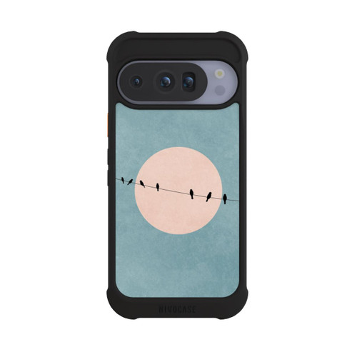 Google Pixel 10 Pro NIVOmax Die Schönheit der Stille
