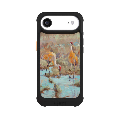 Apple iPhone Air NIVOmax The Courtship by Roberta Murray