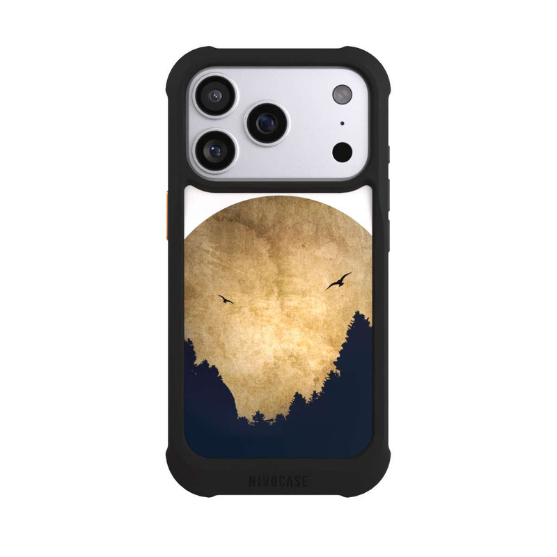 iPhone 17 Pro NIVOmax Zwei Vögel vor Mond