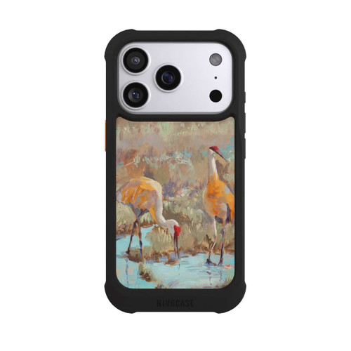 Apple iPhone 17 Pro NIVOmax The Courtship by Roberta Murray