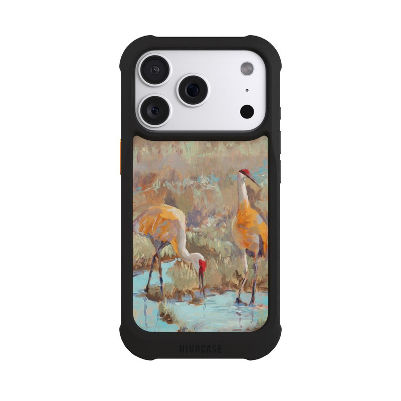 iPhone 18 Pro NIVOmax The Courtship by Roberta Murray
