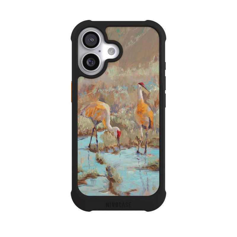 iPhone 17 NIVOmax The Courtship by Roberta Murray