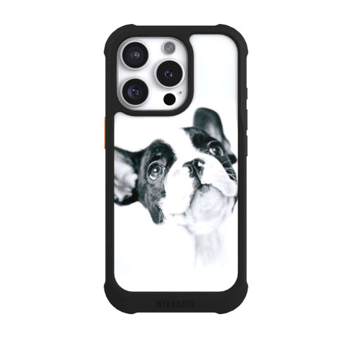 Apple iPhone 16 Pro NIVOmax Frenchy Louis