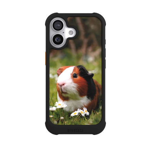  NIVOmax Meerschweinchen