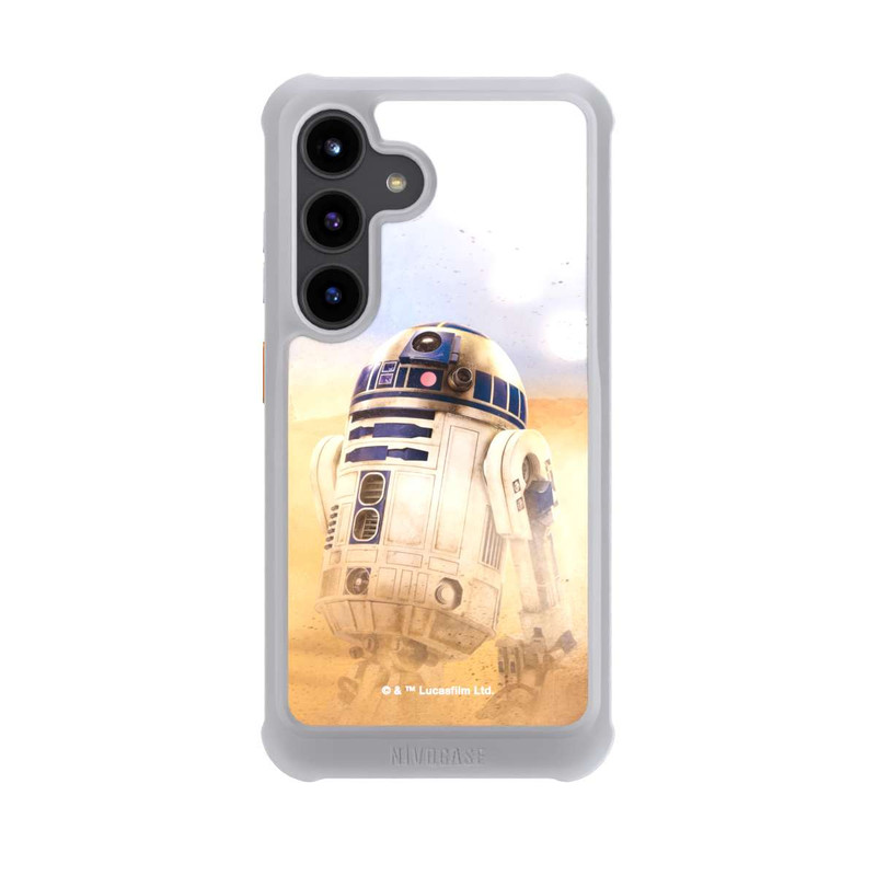 Galaxy S24 NIVOmax R2D2 in der Wüste