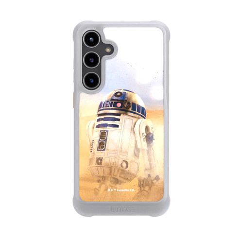 Samsung Galaxy S24+ NIVOmax R2D2 in der Wüste