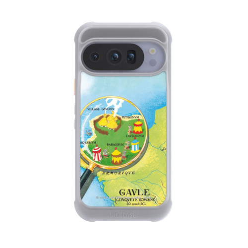 Google Pixel 10 Pro NIVOmax Gaule Carte