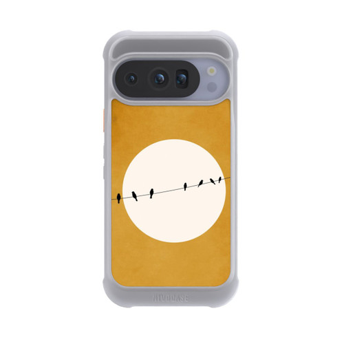 Google Pixel 10 Pro NIVOmax Chirping And Chilling