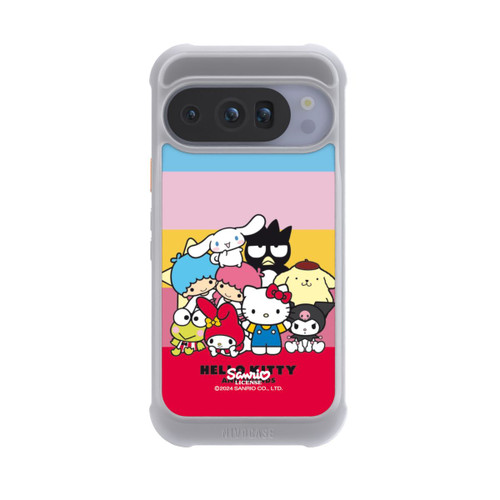 Google Pixel 10 Pro NIVOmax Hello Kitty und Freunde