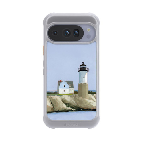 Google Pixel 10 Pro NIVOmax Guide by Ruth LaGue