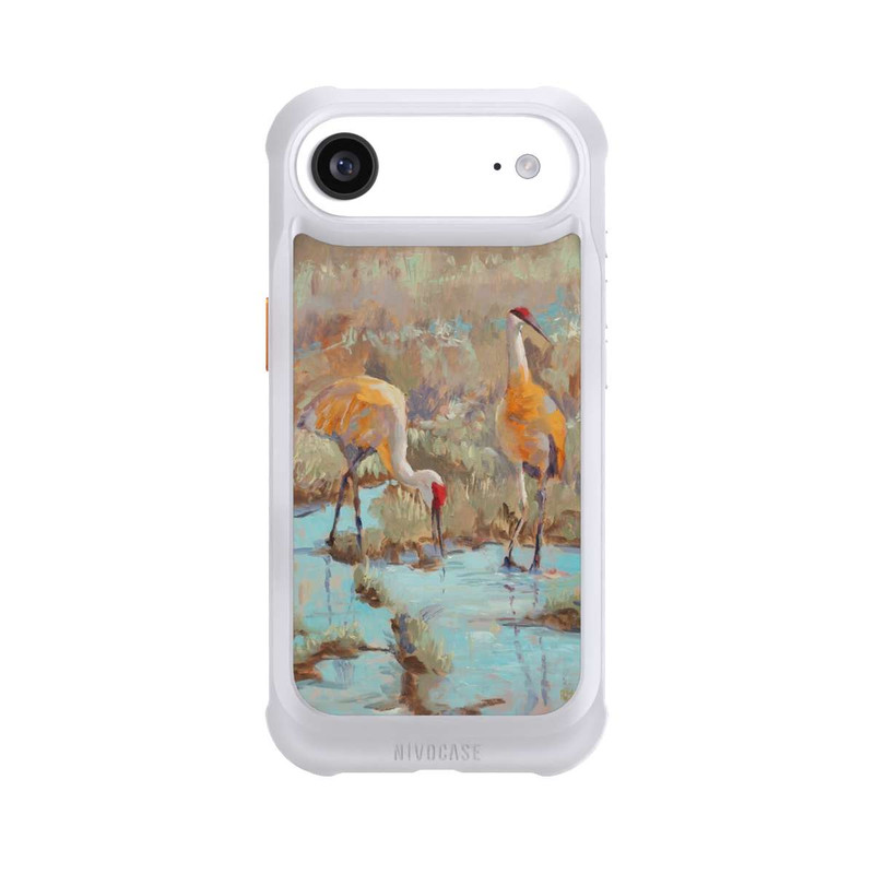 iPhone Air NIVOmax The Courtship by Roberta Murray