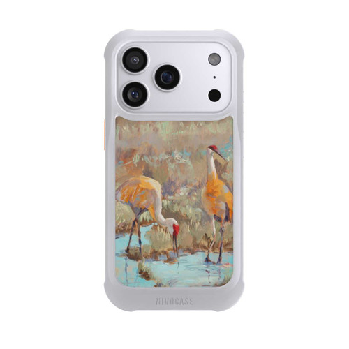 Apple iPhone 17 Pro NIVOmax The Courtship by Roberta Murray