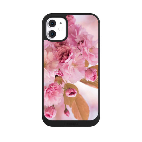 Apple iPhone 11 NIVOpure Kirschblütenbaum Fotografie