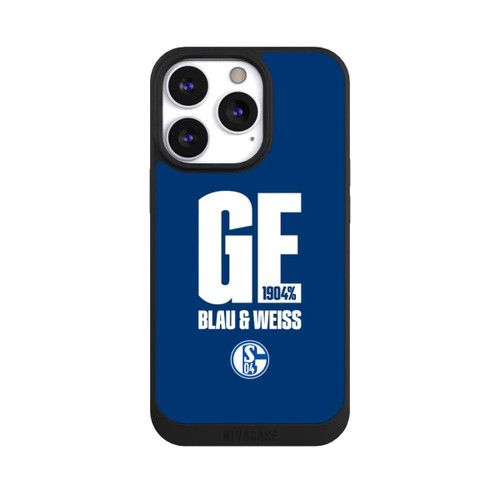 Apple iPhone 13 Pro NIVOpure S04 GE Blau &amp; Weiss