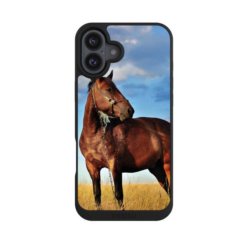 iPhone 16 Plus NIVOpure Pferd in der Natur