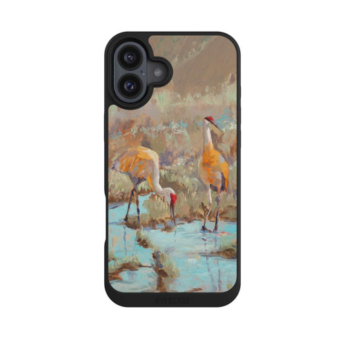 Apple iPhone 16 Plus NIVOpure The Courtship by Roberta Murray