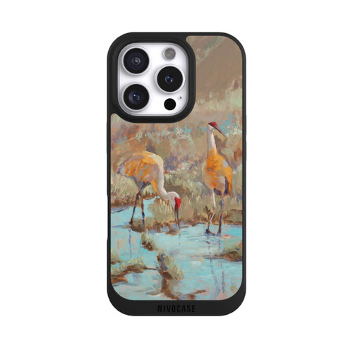 Apple iPhone 16 Pro NIVOpure The Courtship by Roberta Murray