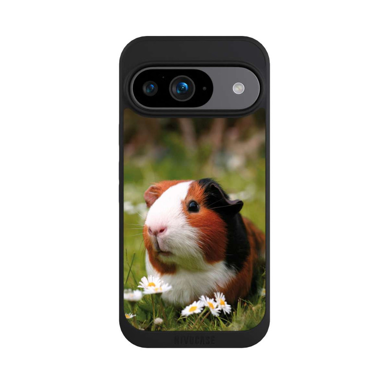 Pixel 9 NIVOpure Cochon d'Inde