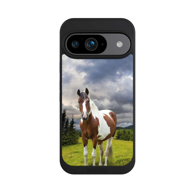 Pixel 9 NIVOpure Pinto