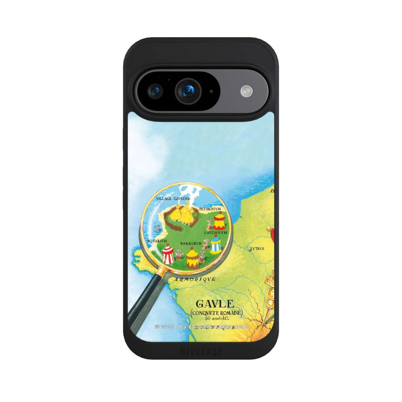 Pixel 9 NIVOpure Gaule Carte