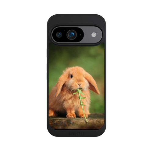 Google Pixel 9 NIVOpure Kaninchen mit Grünzeug