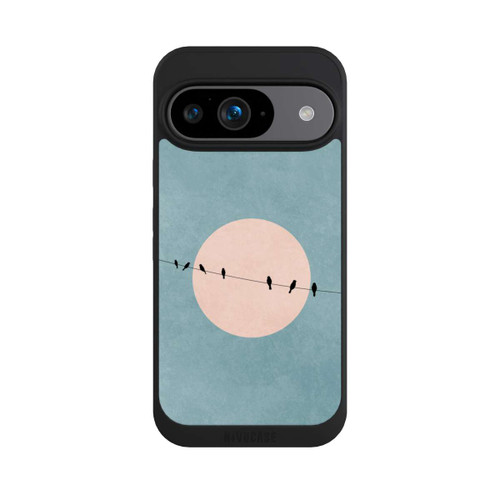 Google Pixel 9 NIVOpure Die Schönheit der Stille