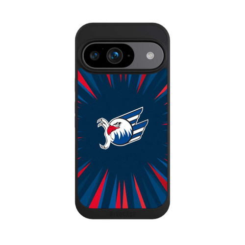 Google Pixel 9 NIVOpure Adler Mannheim Strahlen Blau Rot