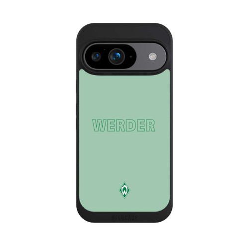 Google Pixel 9 NIVOpure Werder Grün