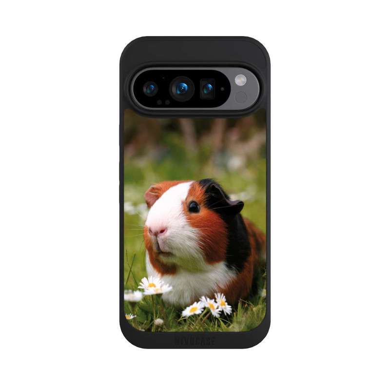 Pixel 9 Pro NIVOpure Meerschweinchen