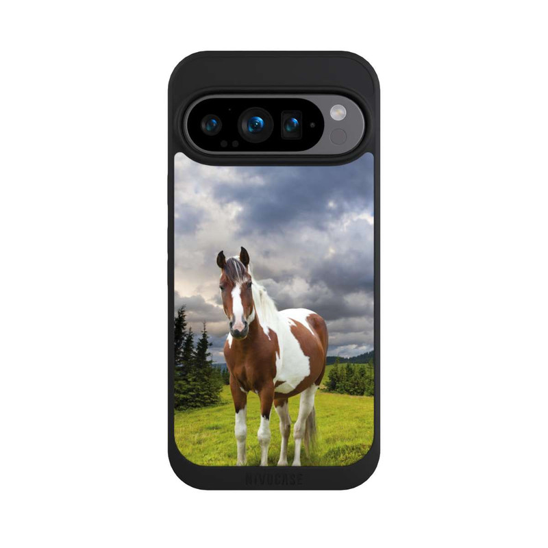 Pixel 9 Pro NIVOpure Pinto